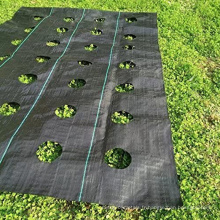 Black PP Cover Ground / Black Weed Control Mat / Paysage Tissu